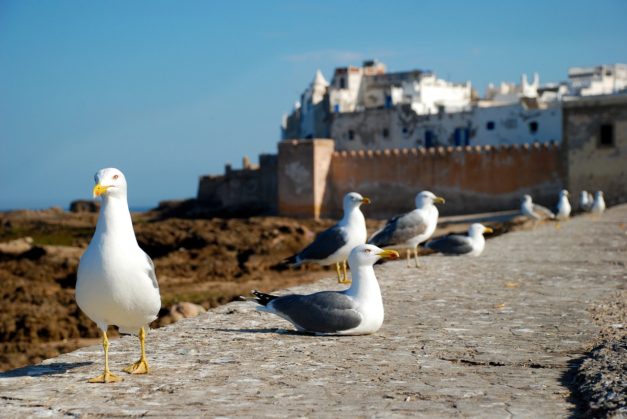 essaouira-1953633_1280